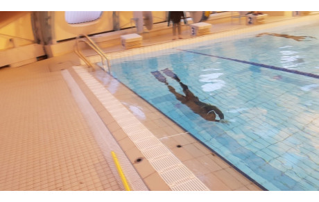 Nouveaux créneaux Apnée piscine